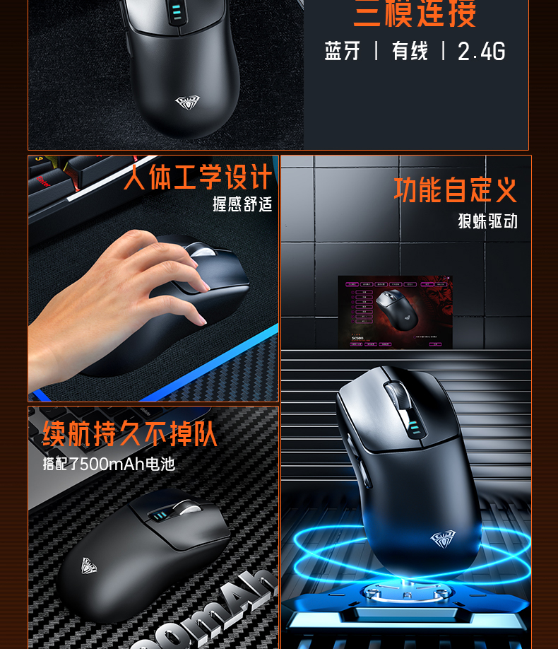 狼蛛