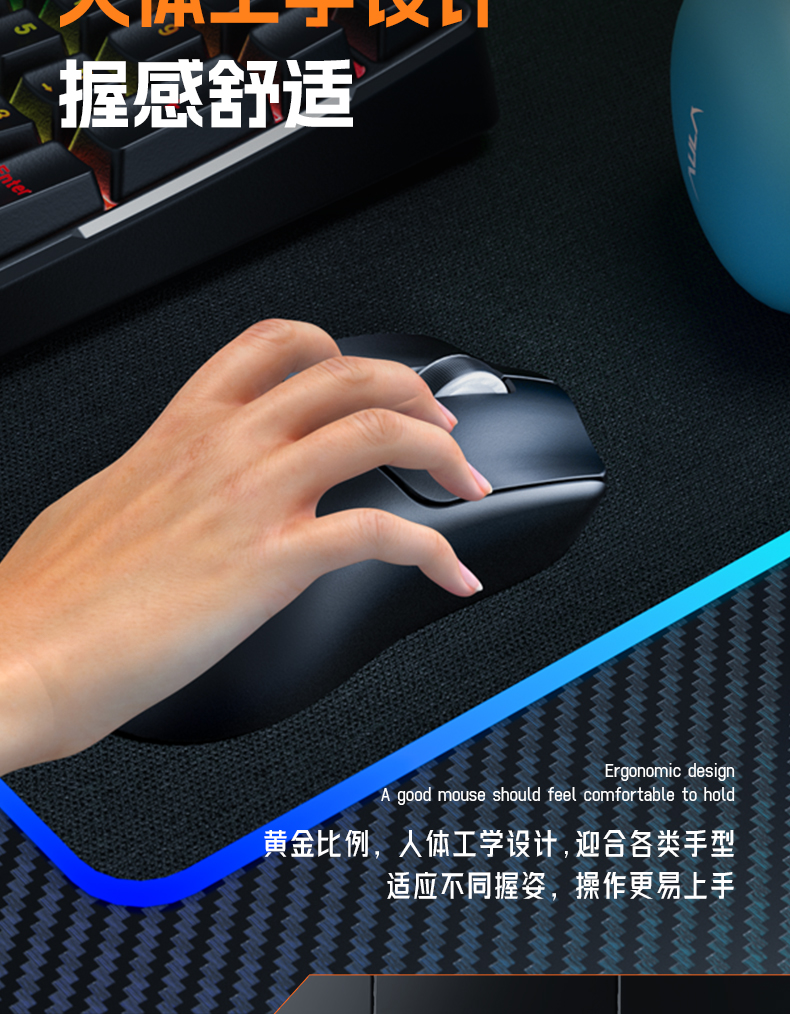狼蛛