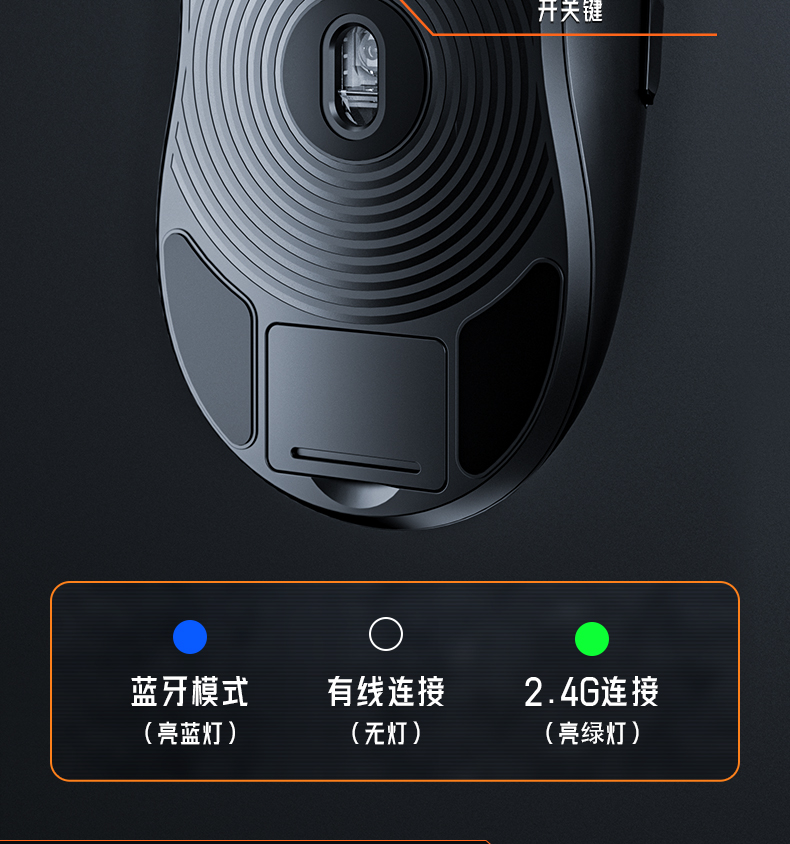 狼蛛